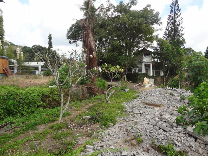 flcanggu64